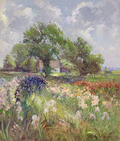 White Barn and Iris Field by Timothy Easton